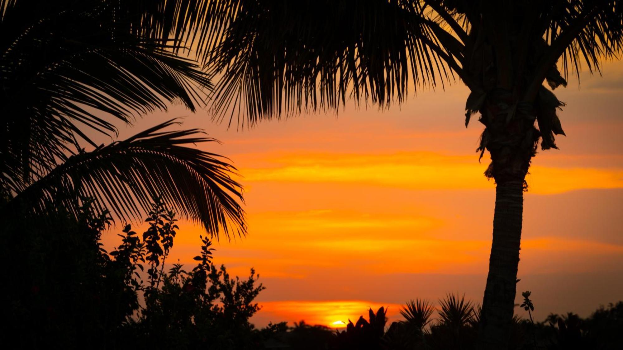 Starry Nights Dreamy 4Br Ainamalu Home With Mountain View Waikoloa Esterno foto