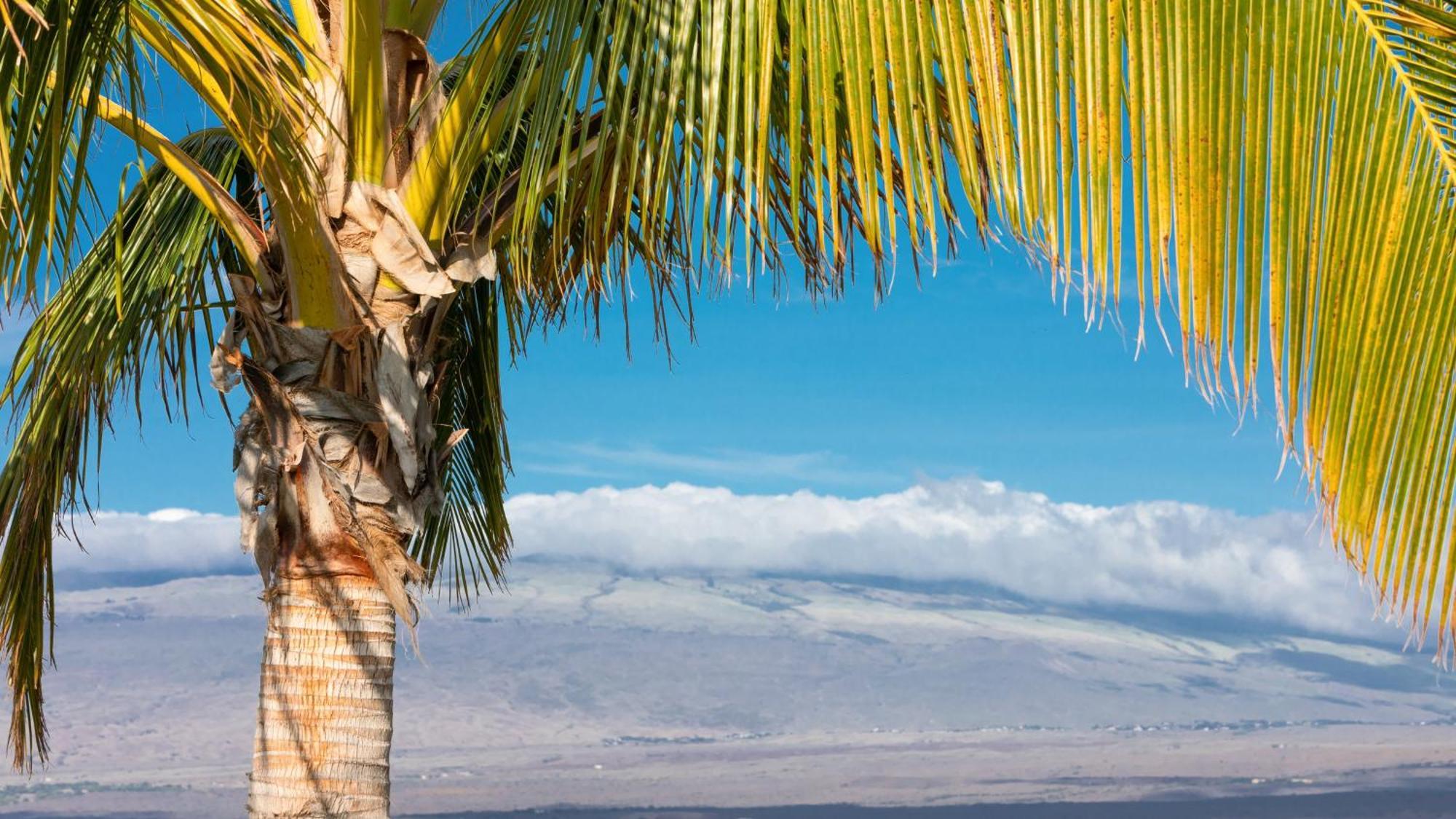 Starry Nights Dreamy 4Br Ainamalu Home With Mountain View Waikoloa Esterno foto