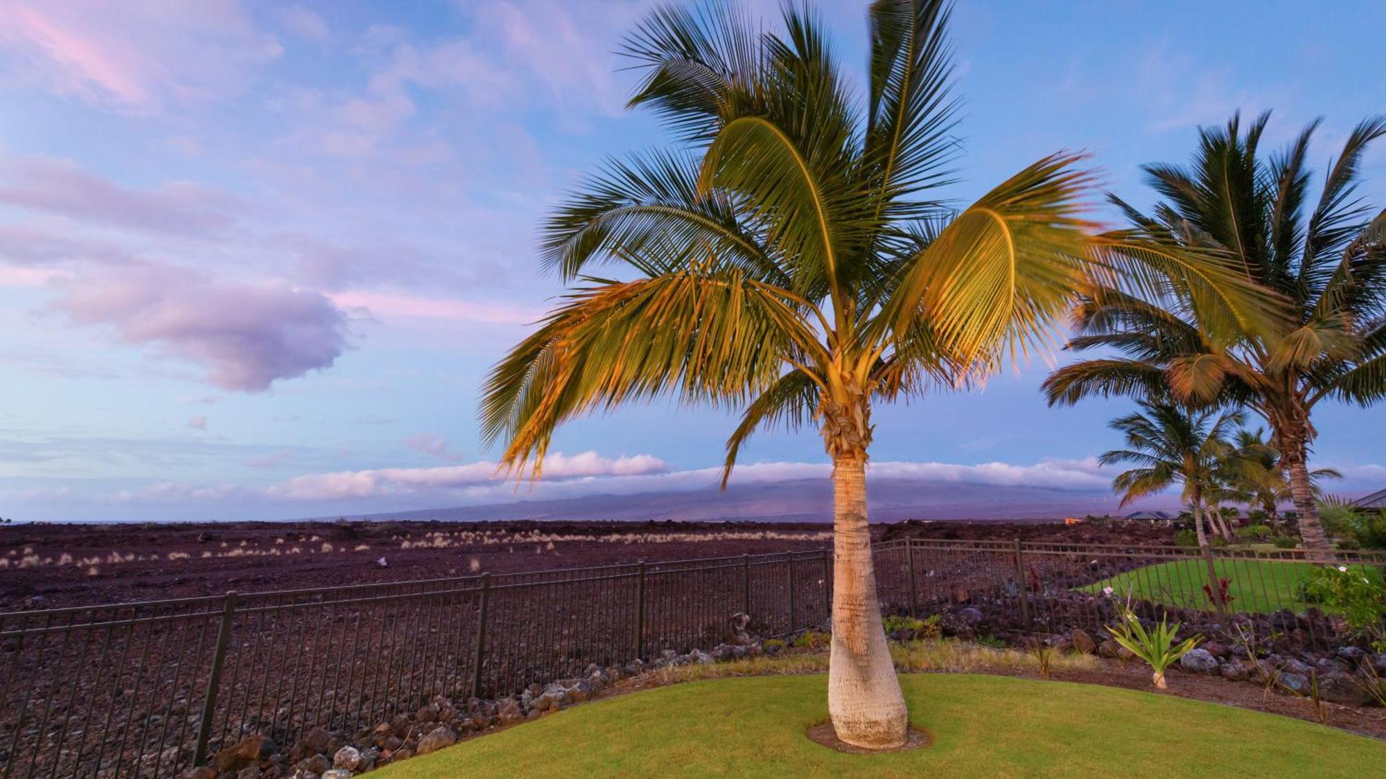 Starry Nights Dreamy 4Br Ainamalu Home With Mountain View Waikoloa Esterno foto